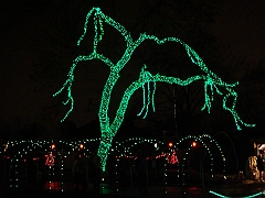 096 Toledo Zoo Light Show [2008 Dec 27]